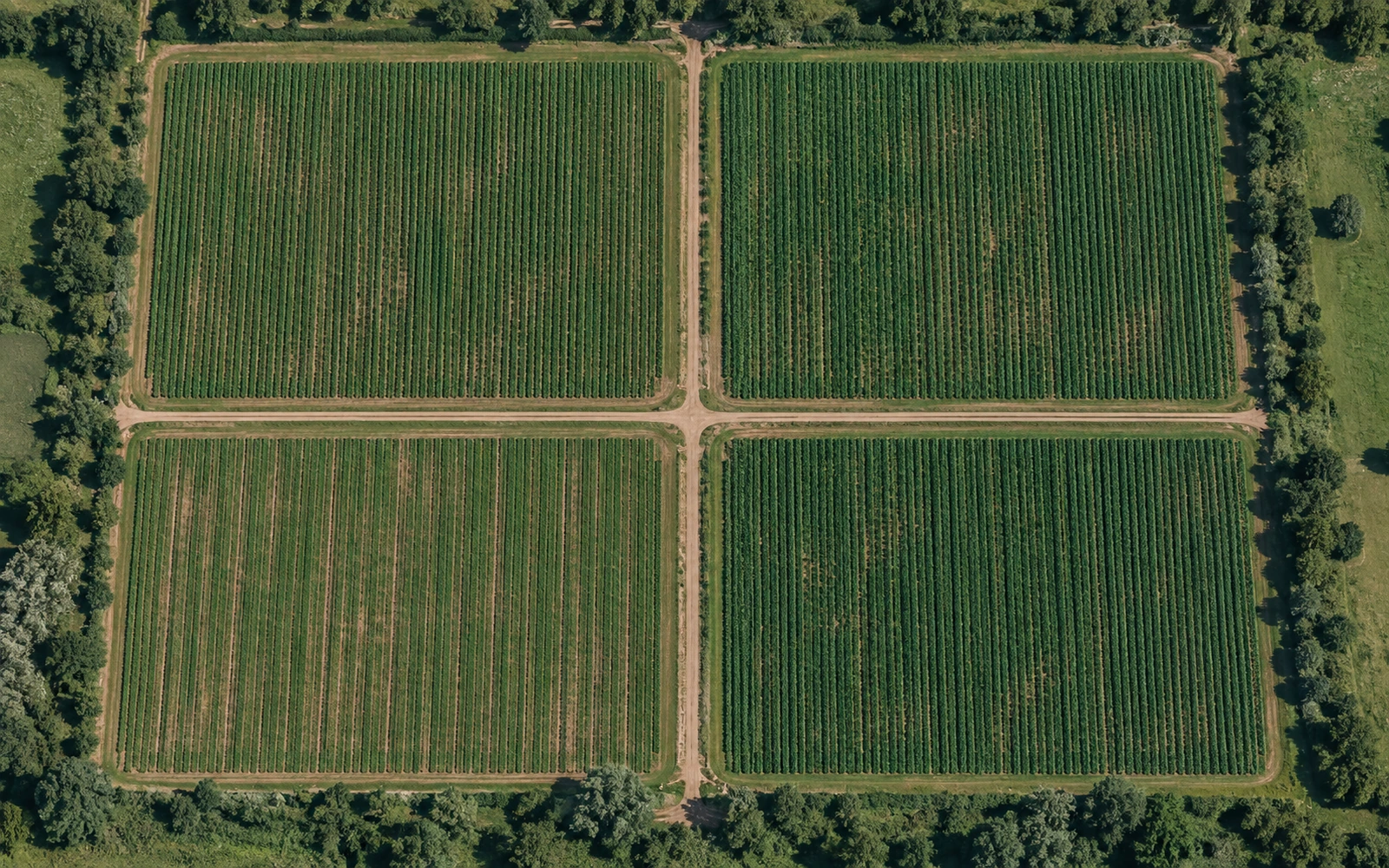 Illustrative overhead farm map with four fields separated by access tracks